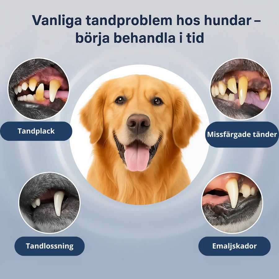 FreshPaw - Friska tänder, glada tassar™
